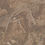 Utah Brown 0223
