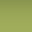 OM-Avocado green