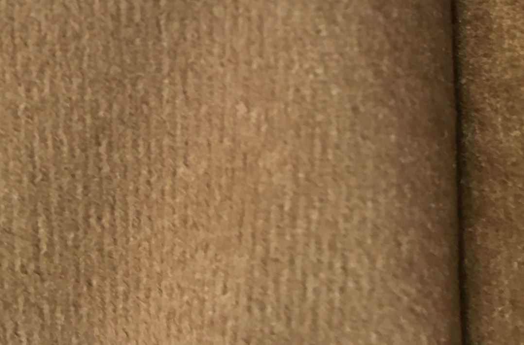 Puma cappucino